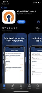 Client OpenVPN from App Store