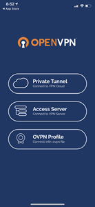 Client OpenVPN Configuration