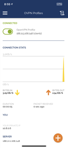 Disconnect from OpenVPN Client