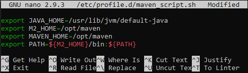 Environment variable configuration