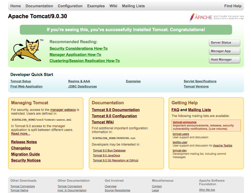 Tomcat web page