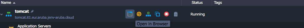 Open in the browser